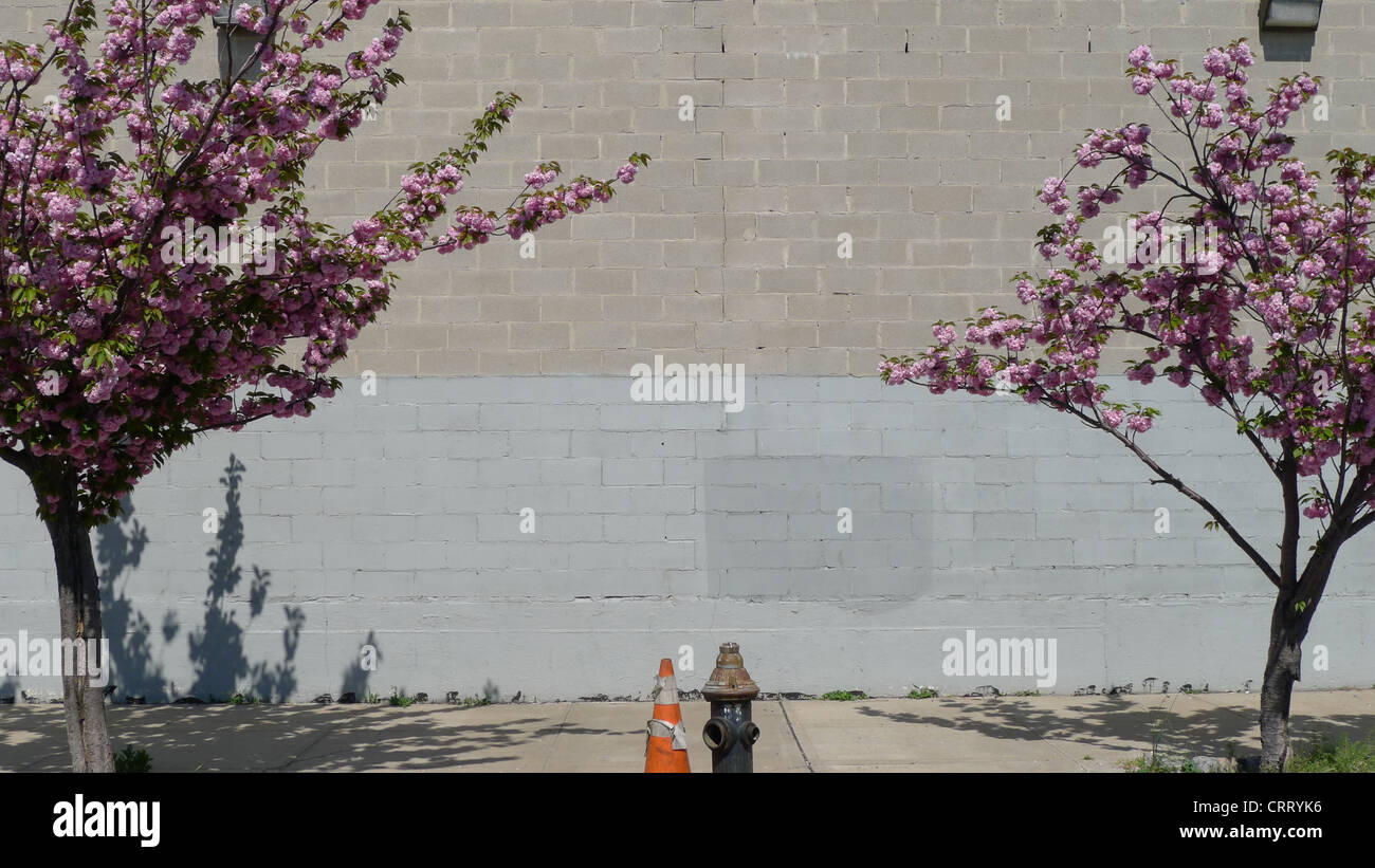 Breite Schuss von einer gepflasterten Straße, Beton block Wand und blühender Baum, Red Hook, Brooklyn, Frühling. Stockfoto