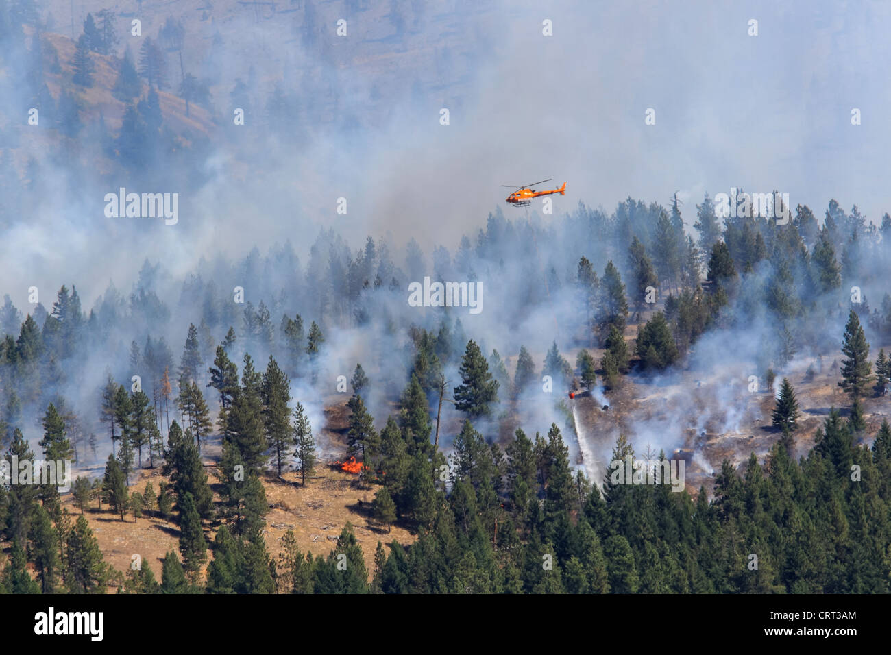 Ein Hubschrauber der US Forest Service Tropfen Wasser auf einen Waldbrand in der Nähe von Bonner, Montana, USA Stockfoto