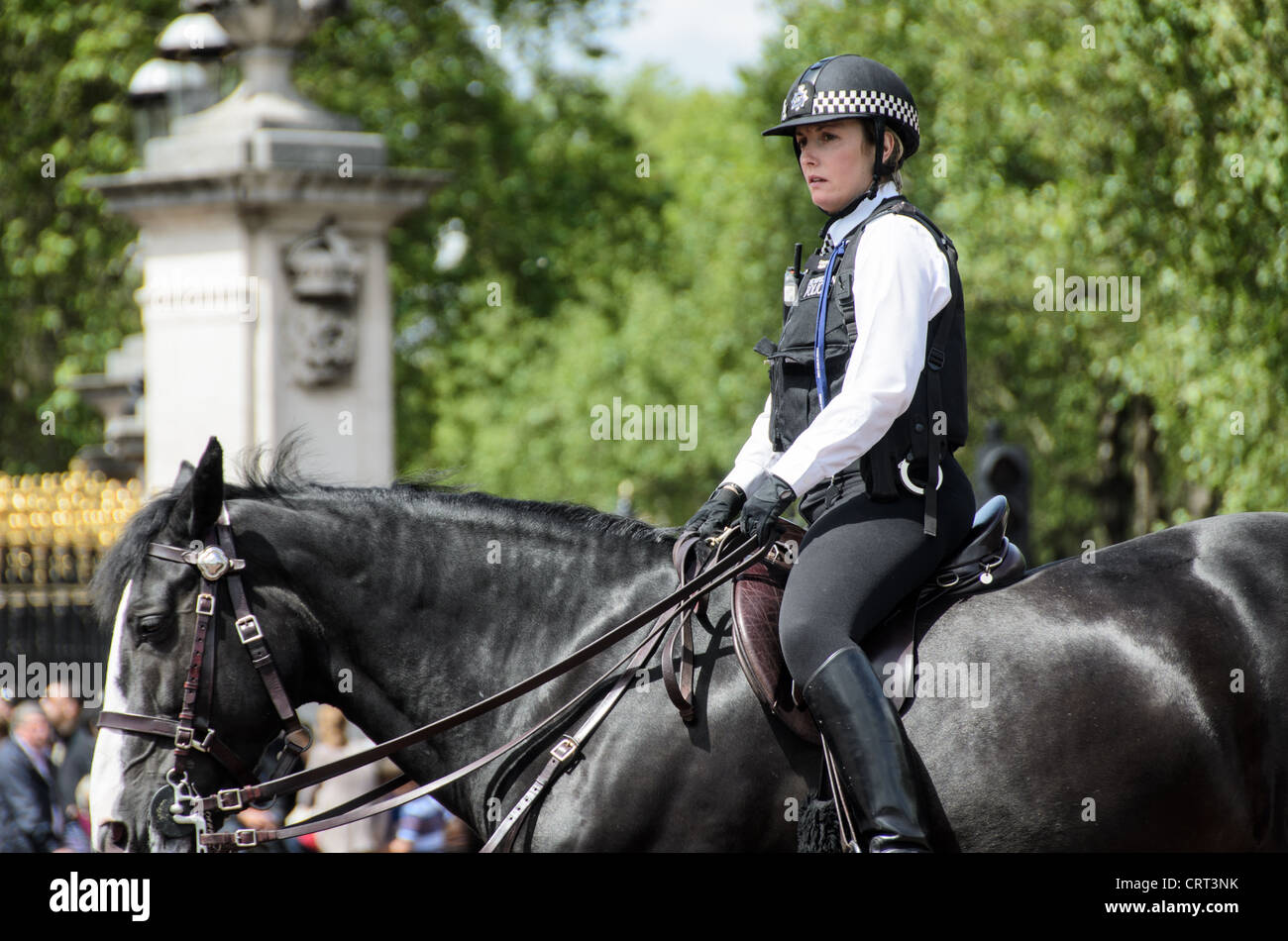 Mount Polizei Frau Supervising Touristenmassen 169-110307698 x berittene Polizistin von der London Metropolitan Police Service überwacht die Masse der Touristen auf das Ändern der Wachablösung vor dem Buckingham Palace aus auf einem schwarzen Pferd. Stockfoto