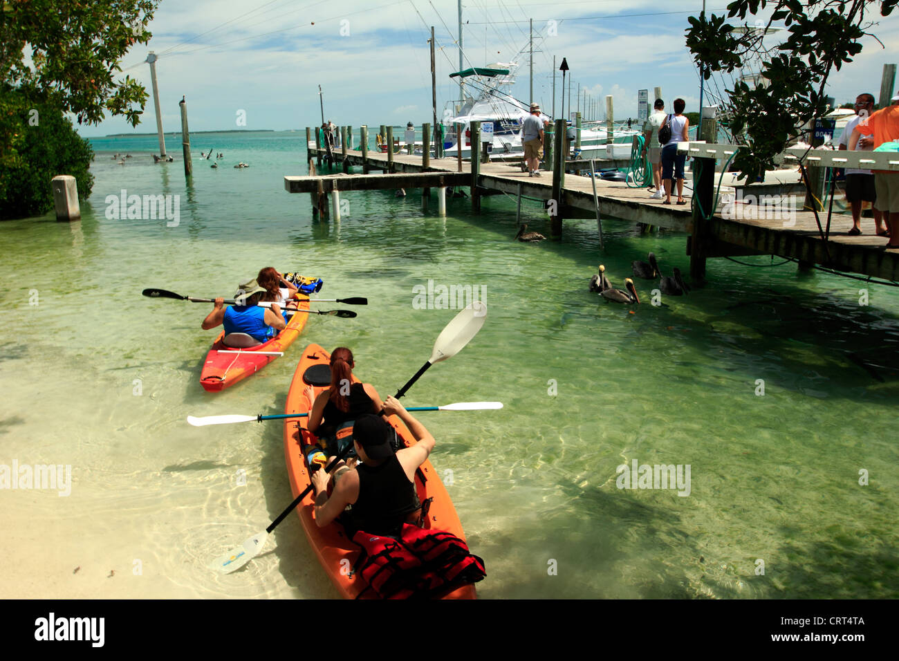 Kajak-Paddler und Marina am unteren Roman Key, Florida Keys, USA Stockfoto