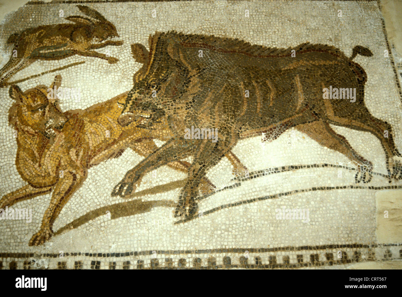 Römisches Mosaik aus dem frühen 3. Jahrhundert v. Chr., das eine Jagd auf Wildschweine und Hasen darstellt. Aus Hadrumetum (Sousse), Tunesien. Das Bardo Museum, Tunis, Tunesien Stockfoto