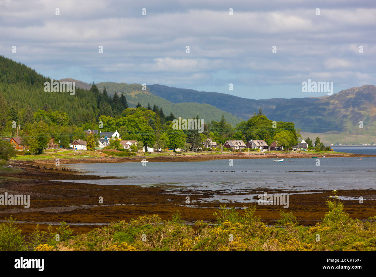 Ratagan Dorf und Loch Duich Hochland Region, Schottland, Vereinigtes Königreich, Europa Stockfoto