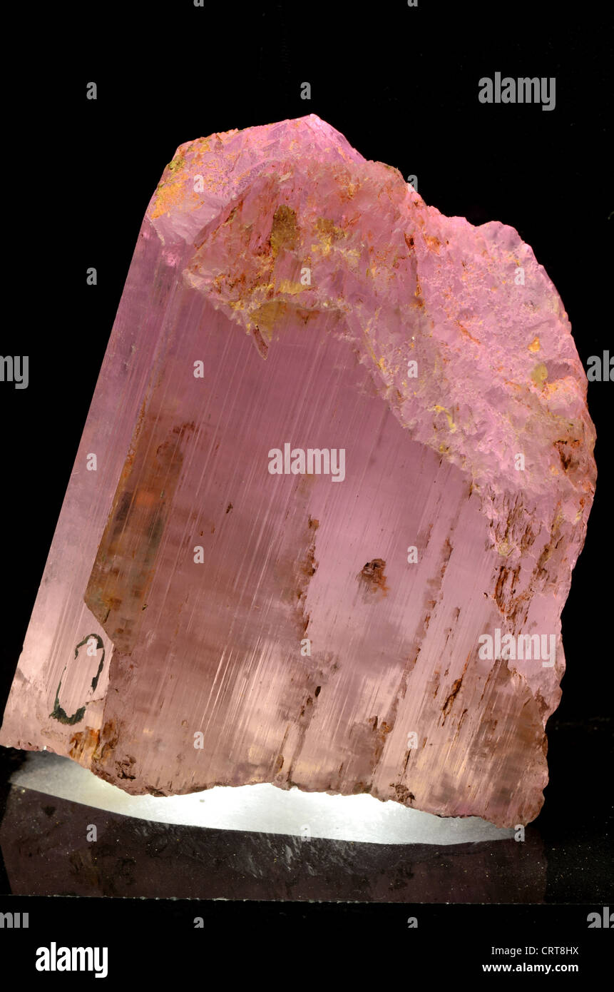 Rosa Kristall von Kunzit, eine Vielzahl von Mineral Spodumen, Lithium Aluminium Inosilicate, LiAl (SiO3) 2. Stockfoto