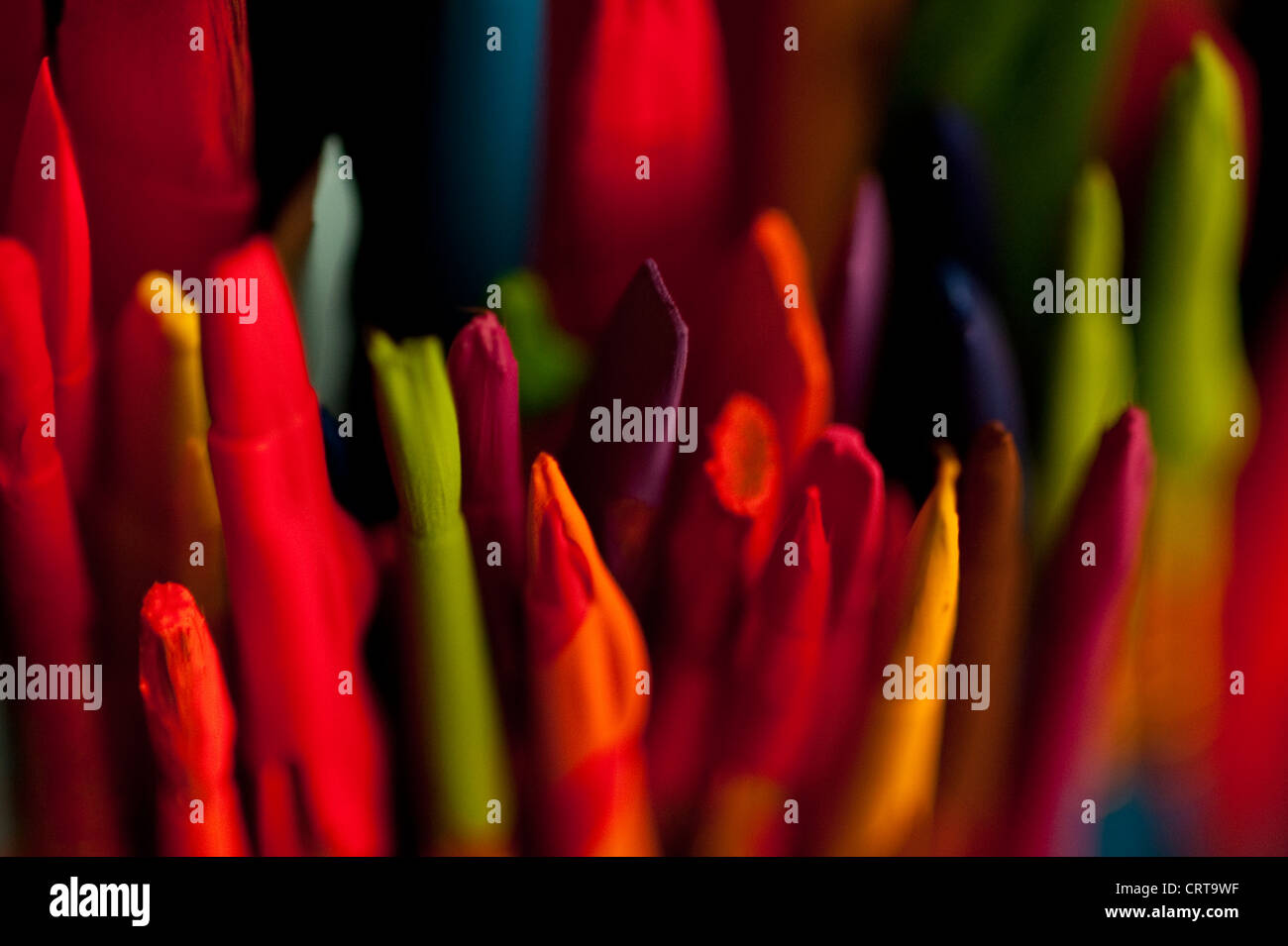 Mehrfarbiger Pinsel in einer Farbe können mit Farbe tropft close-up Stockfoto