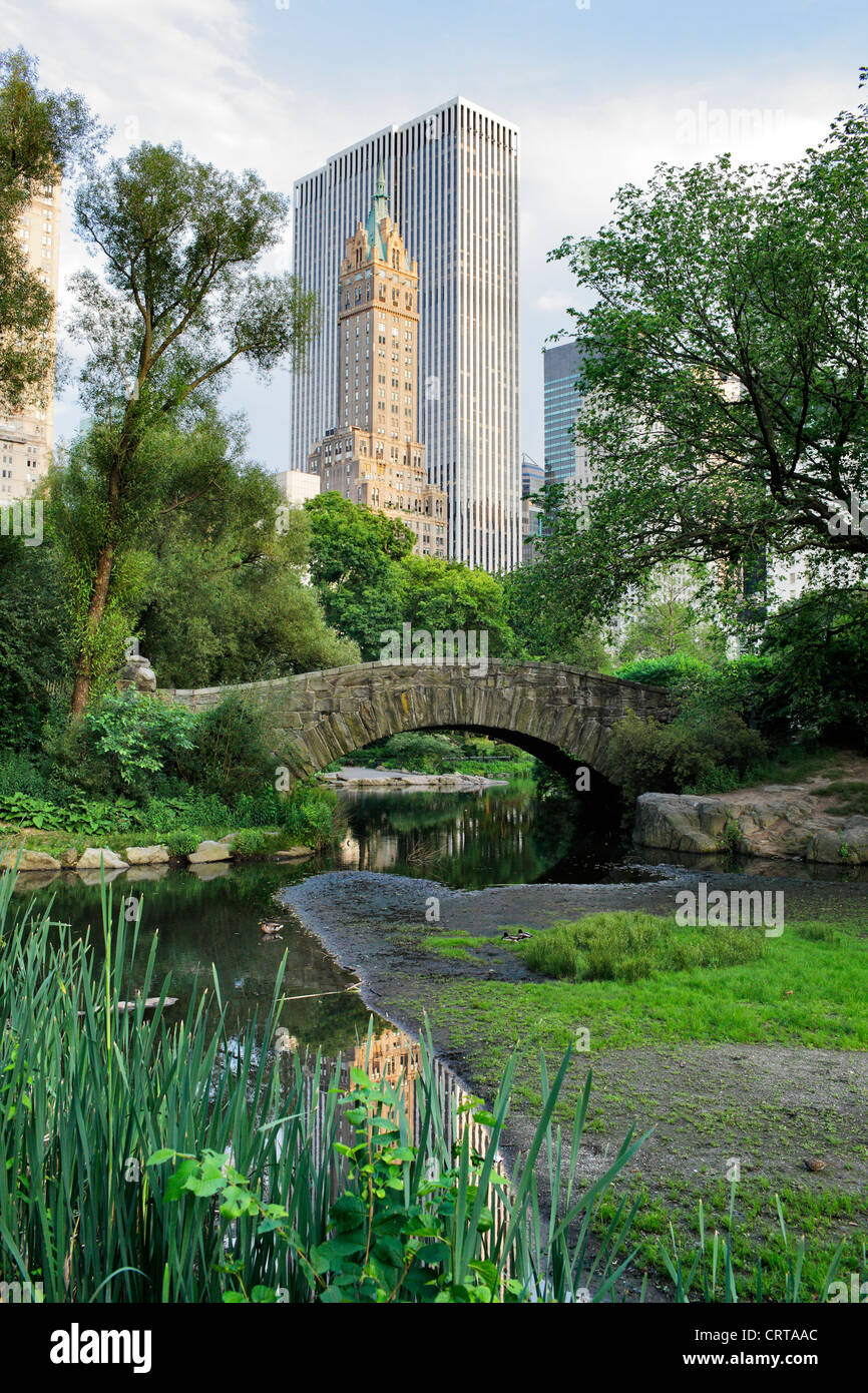 Gapstow Brücke im Central Park. Der Central Park ist ein öffentlicher Park im Zentrum von Manhattan, New York City, USA. Stockfoto