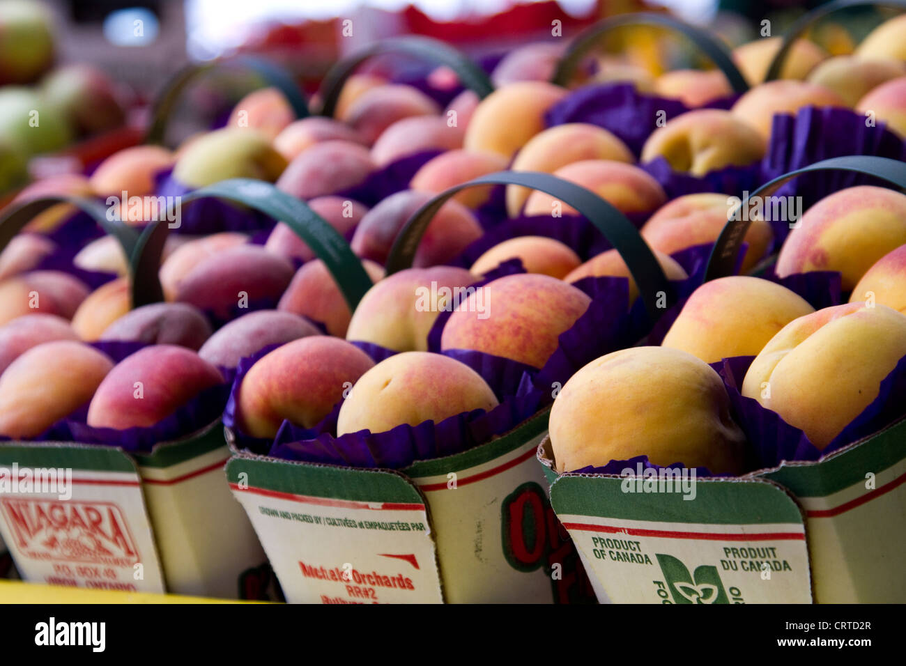 Pfirsiche zum Verkauf an Atwater Market in Montreal, Quebec Stockfoto