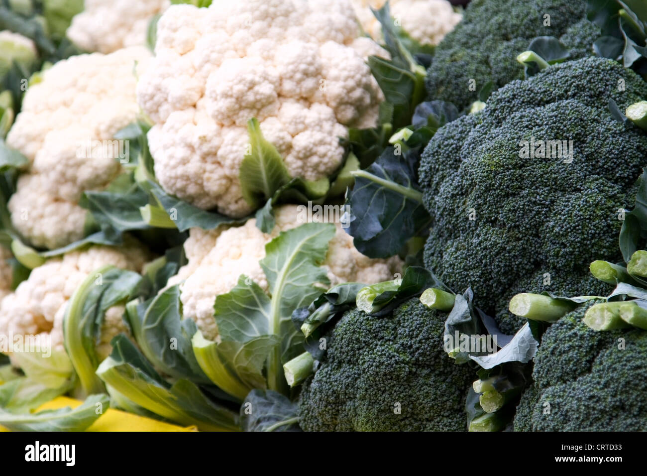 Blumenkohl und Brokkoli an Atwater Market in Montreal, Quebec Stockfoto