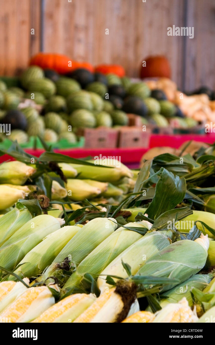 Mais zum Verkauf an Atwater Market in Montreal, Quebec Stockfoto