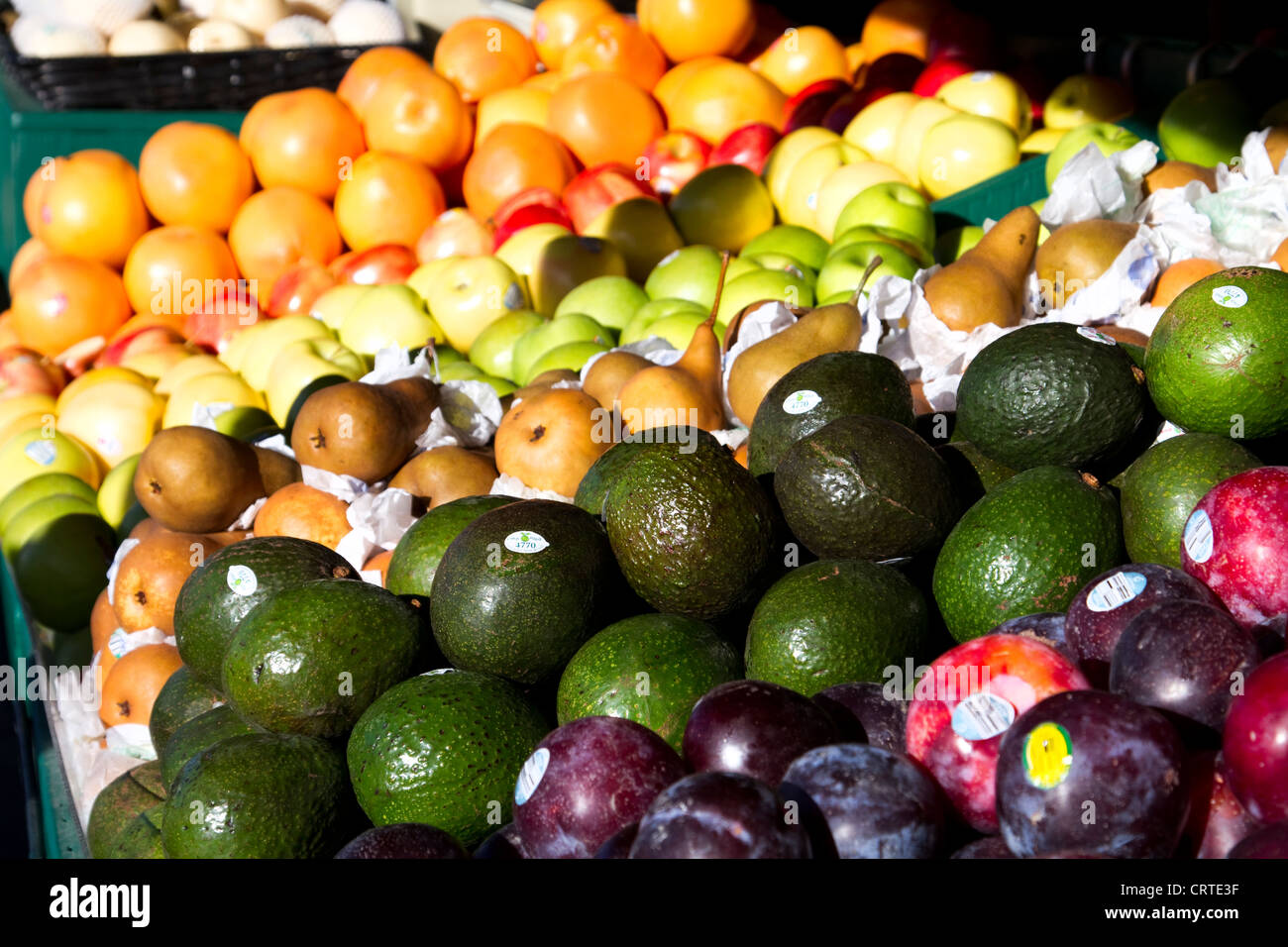 Auswahl an Obst zum Verkauf an Jean Talon Market, Montreal, Quebec Stockfoto