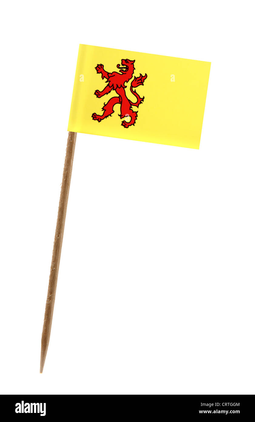Zahn pick Wit eine kleine Papiertüte Flagge von Zuid-Holland Stockfoto