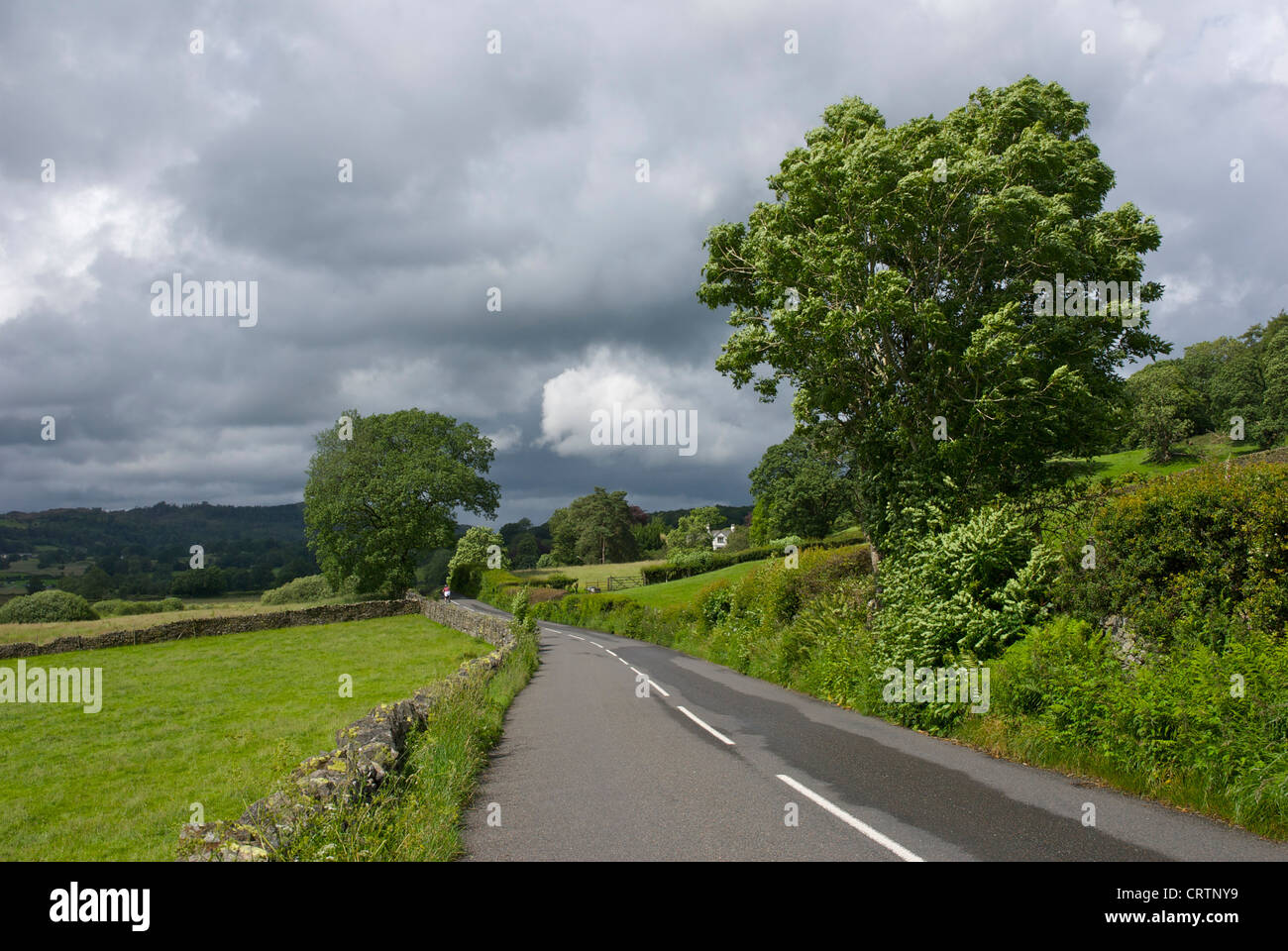 B5285 Straße zwischen Hawkshead und in der Nähe von Sawrey, nahe dem Dorf von Colthouse, Lake District National Park, Cumbria, England UK Stockfoto