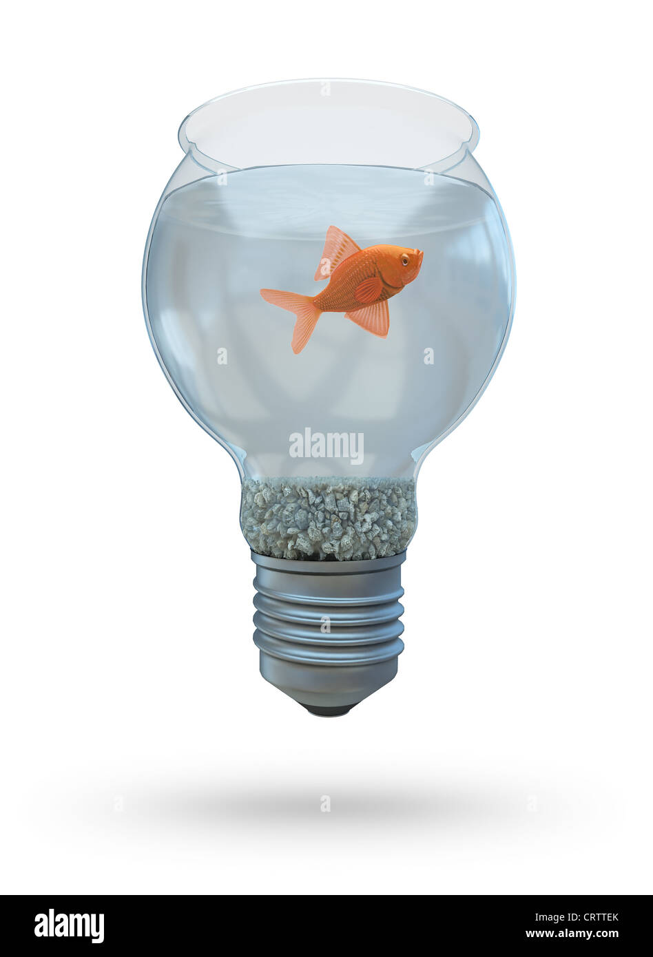Glühbirne mit einem Goldfisch Stockfoto