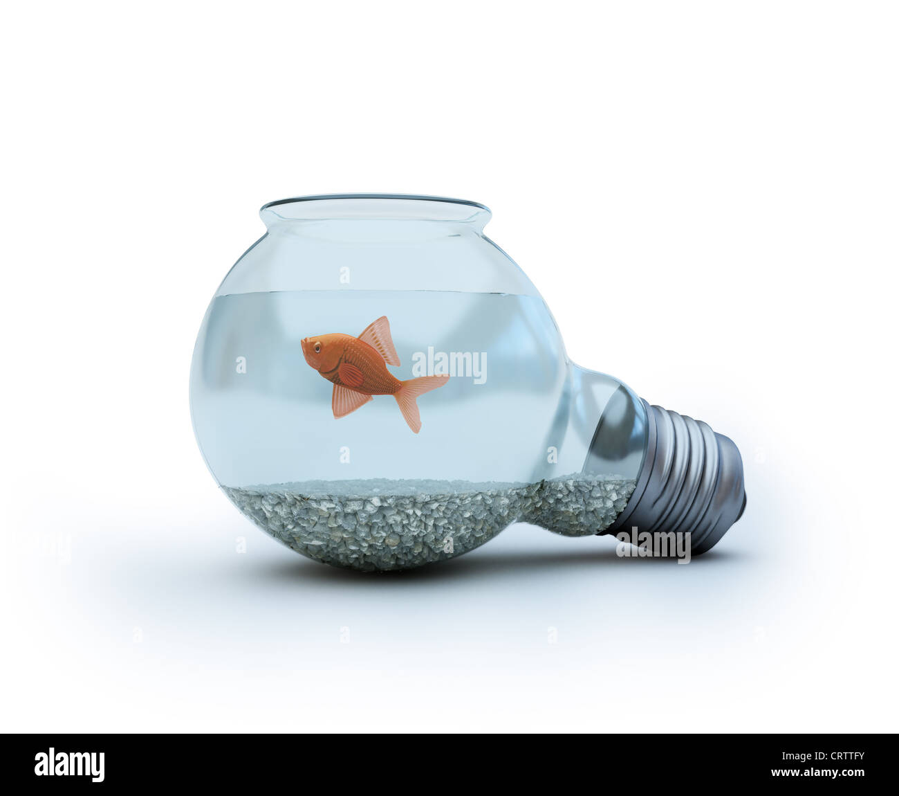 Glühbirne mit einem Goldfisch Stockfoto