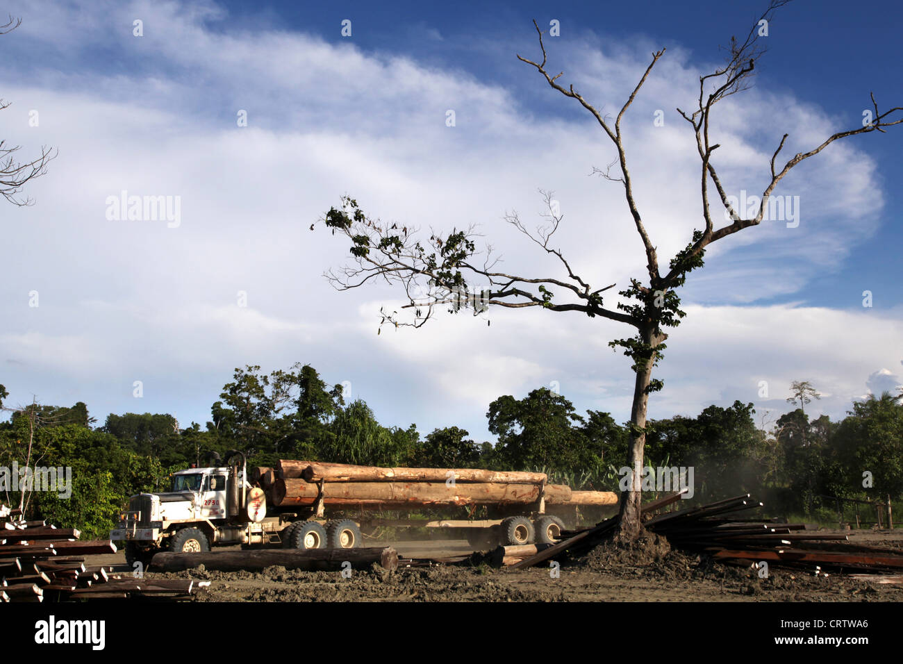 Protokollierung-LKW in den Regenwäldern der Provinz Madang, Papua Neuguinea Stockfoto