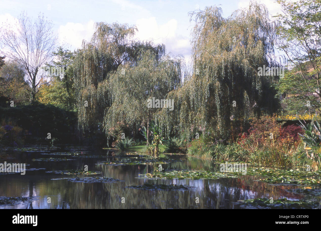 La Maison et Les Jardins de Monet À Giverny - La Mare Aux Nynphéas Stockfoto