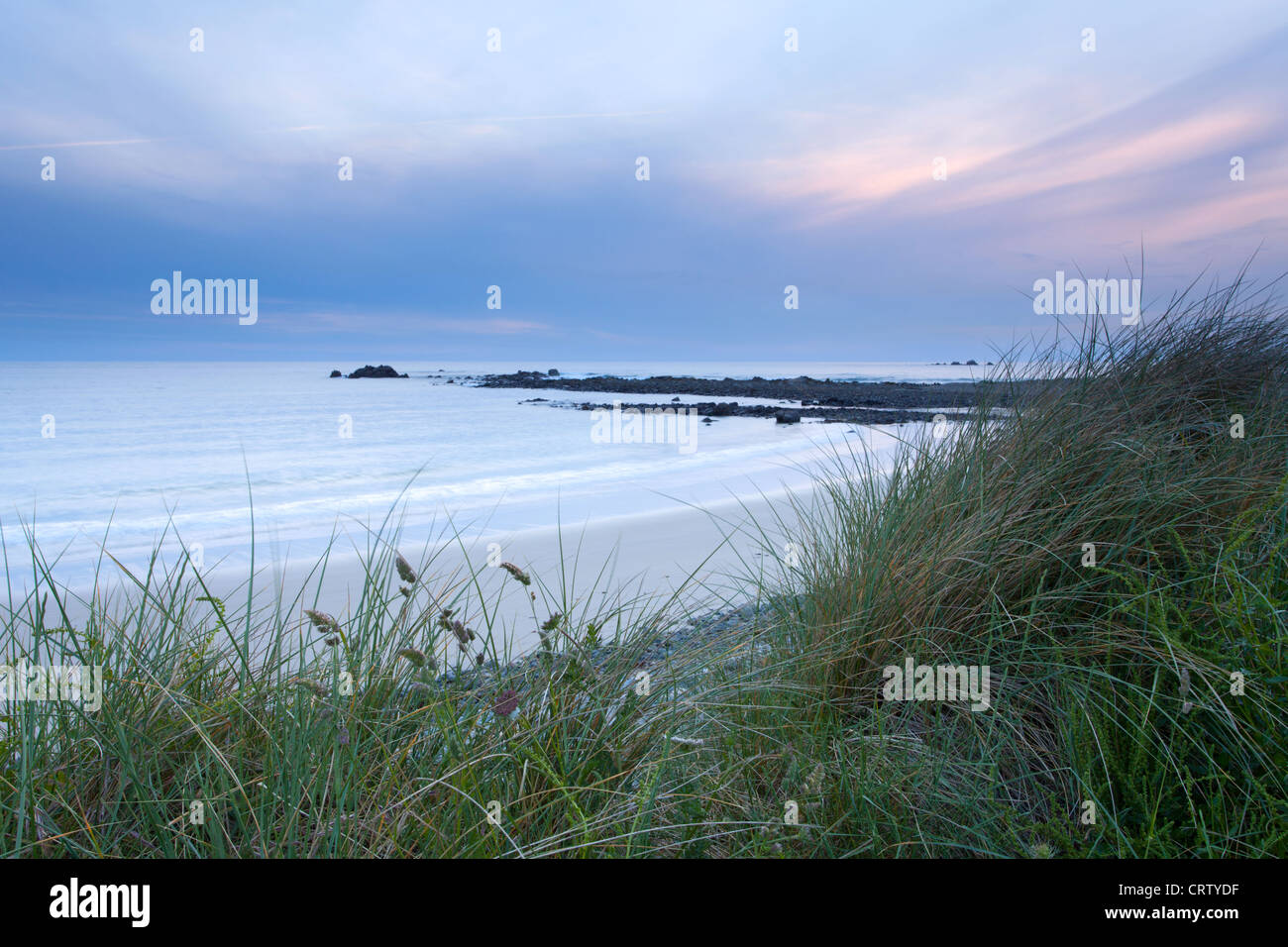 Dünengebieten Grass, Dünen, Portinfer Strand, Guernsey, Kanalinseln, UK Stockfoto