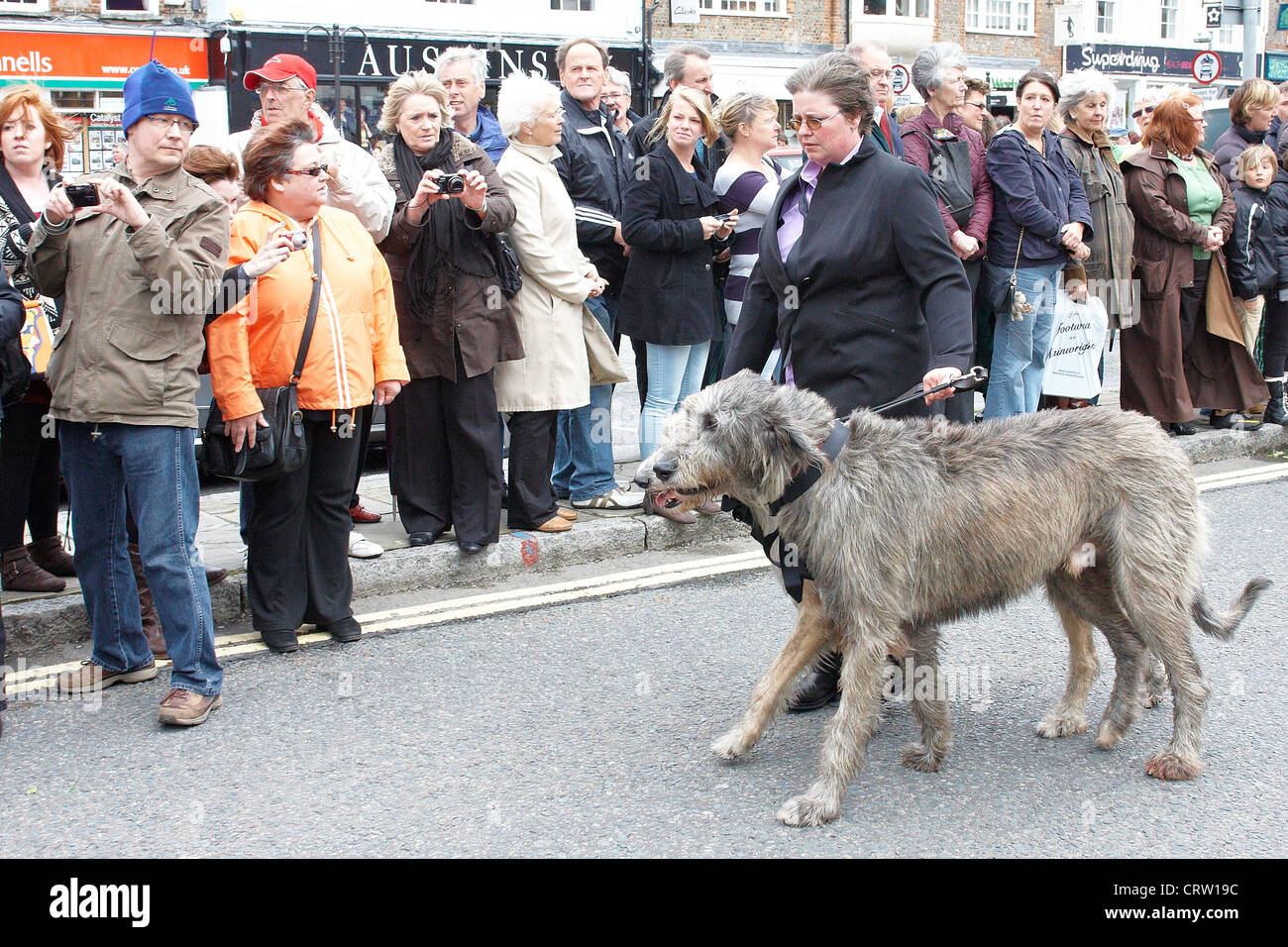 Wolfhounds, Zugehörigkeit zu Robin Gibb, folgen hinter den Trauerzug der Bee Gee Sängerin durch Thame. Stockfoto