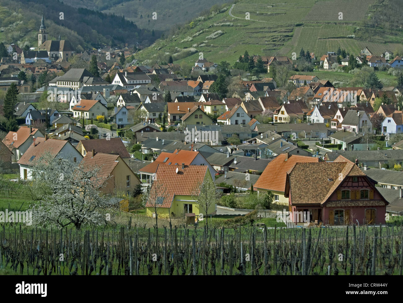 Andlau, Elsaß, Frankreich Stockfotografie Alamy