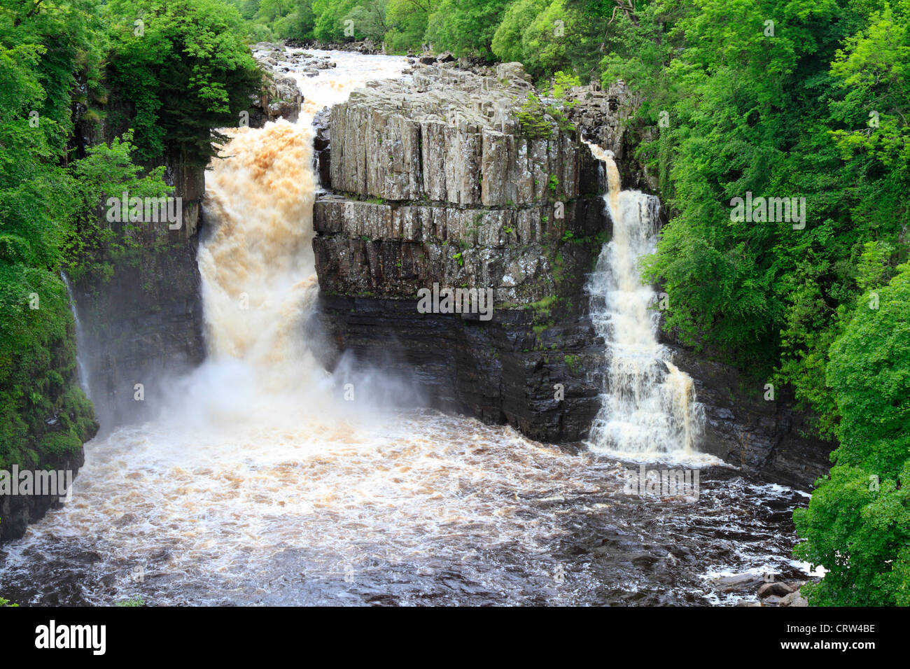 Hohe Kraft Wasserfall nach starken Regenfällen, River Tees in der Nähe von Middleton in Teesdale, County Durham, England, UK. Stockfoto