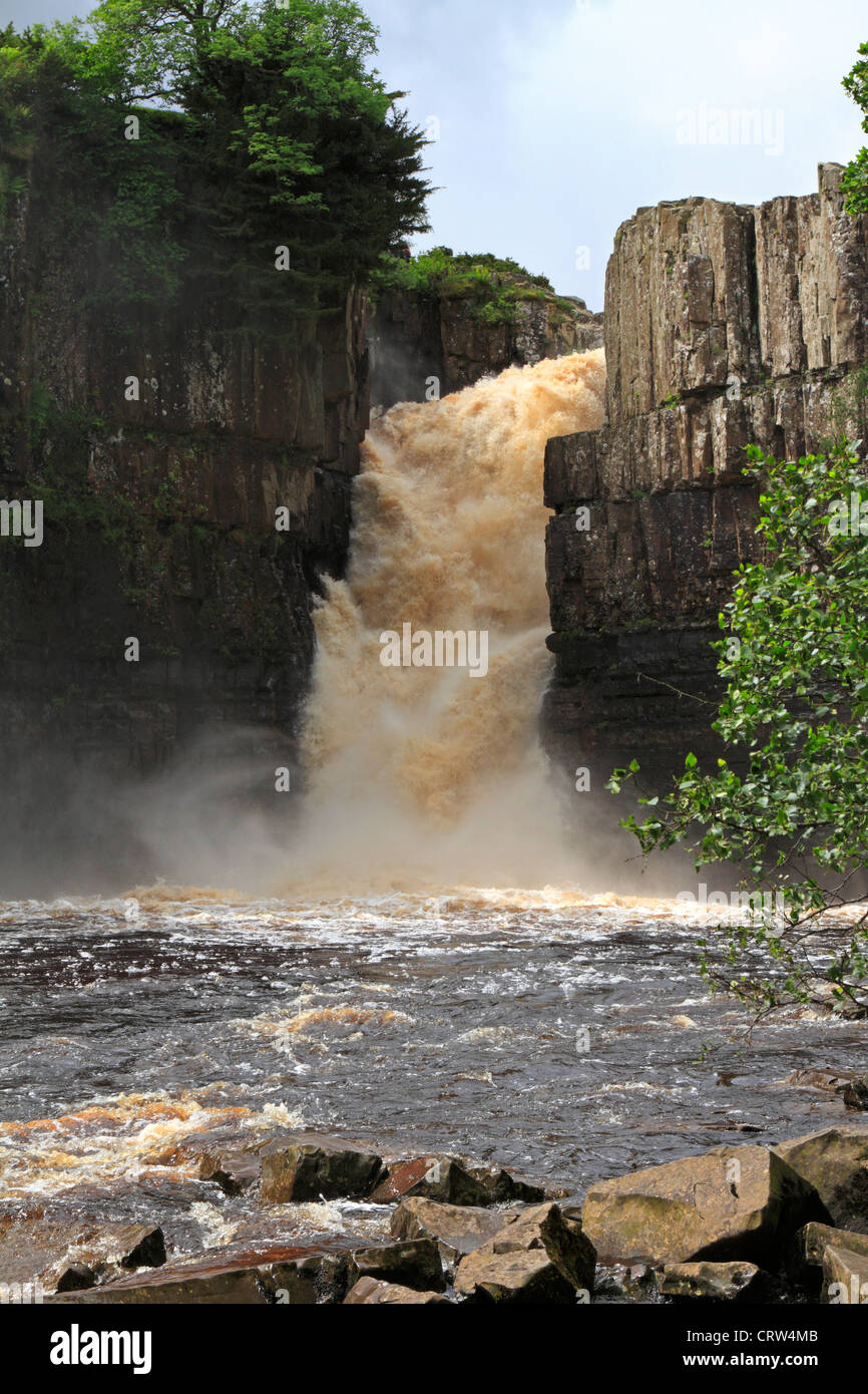 Hohe Kraft Wasserfall nach starken Regenfällen, River Tees in der Nähe von Middleton in Teesdale, County Durham, England, UK. Stockfoto
