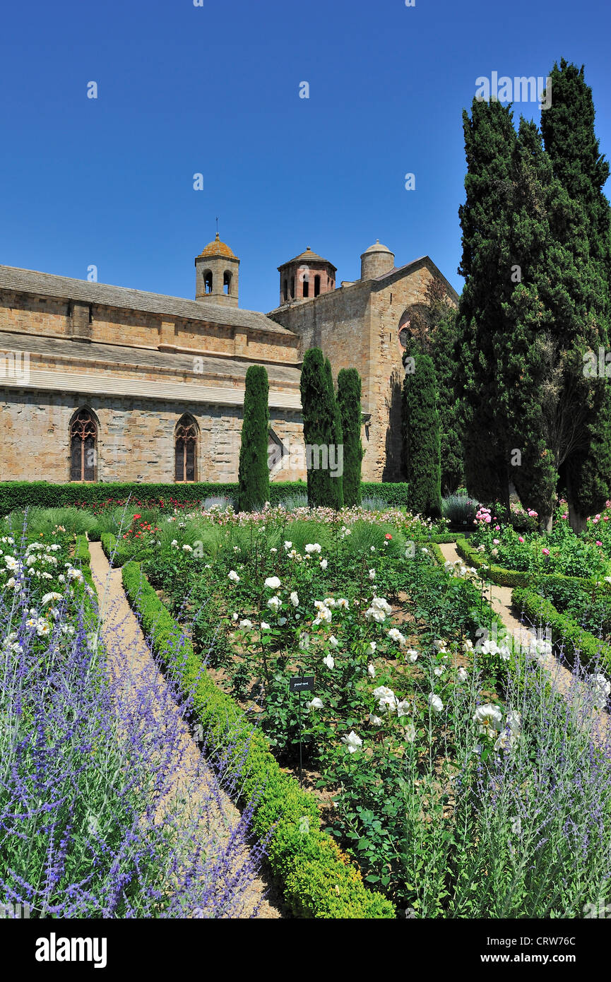 Rosengarten der Abtei Abbaye Sainte-Marie de Fontfroide, ehemaligen Zisterzienserklosters im Languedoc, Pyrenäen, Stockfoto