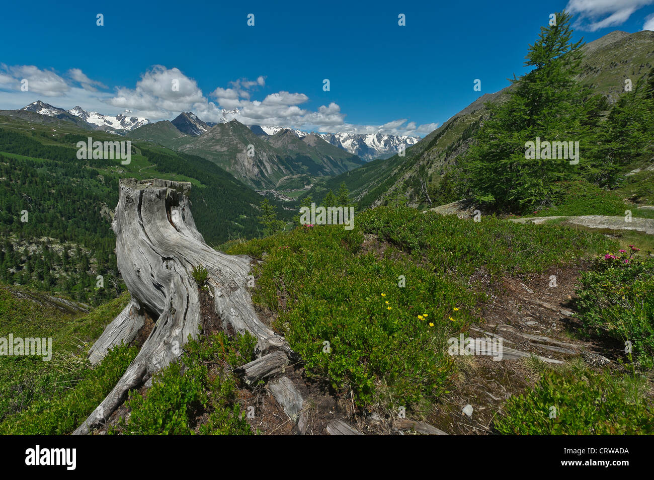 die Kette des Mont-Blanc, Aostatal, Italien Stockfoto