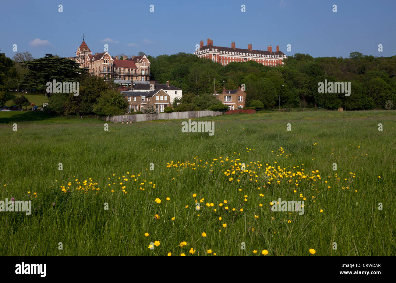 Eine Wiese von Gräsern und Butterblumen und Monumentalbauten im Richmond District in London in England. Stockfoto