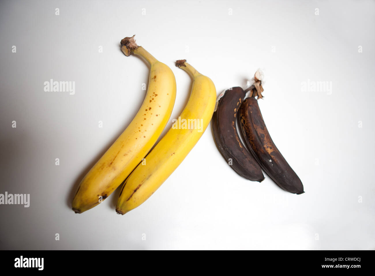 Bananen dagegen gelb und dunkelbraun. Stockfoto