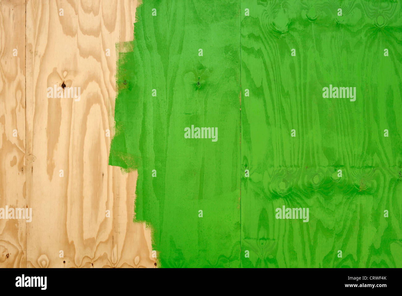 Holzwand wird grün lackiert Stockfoto