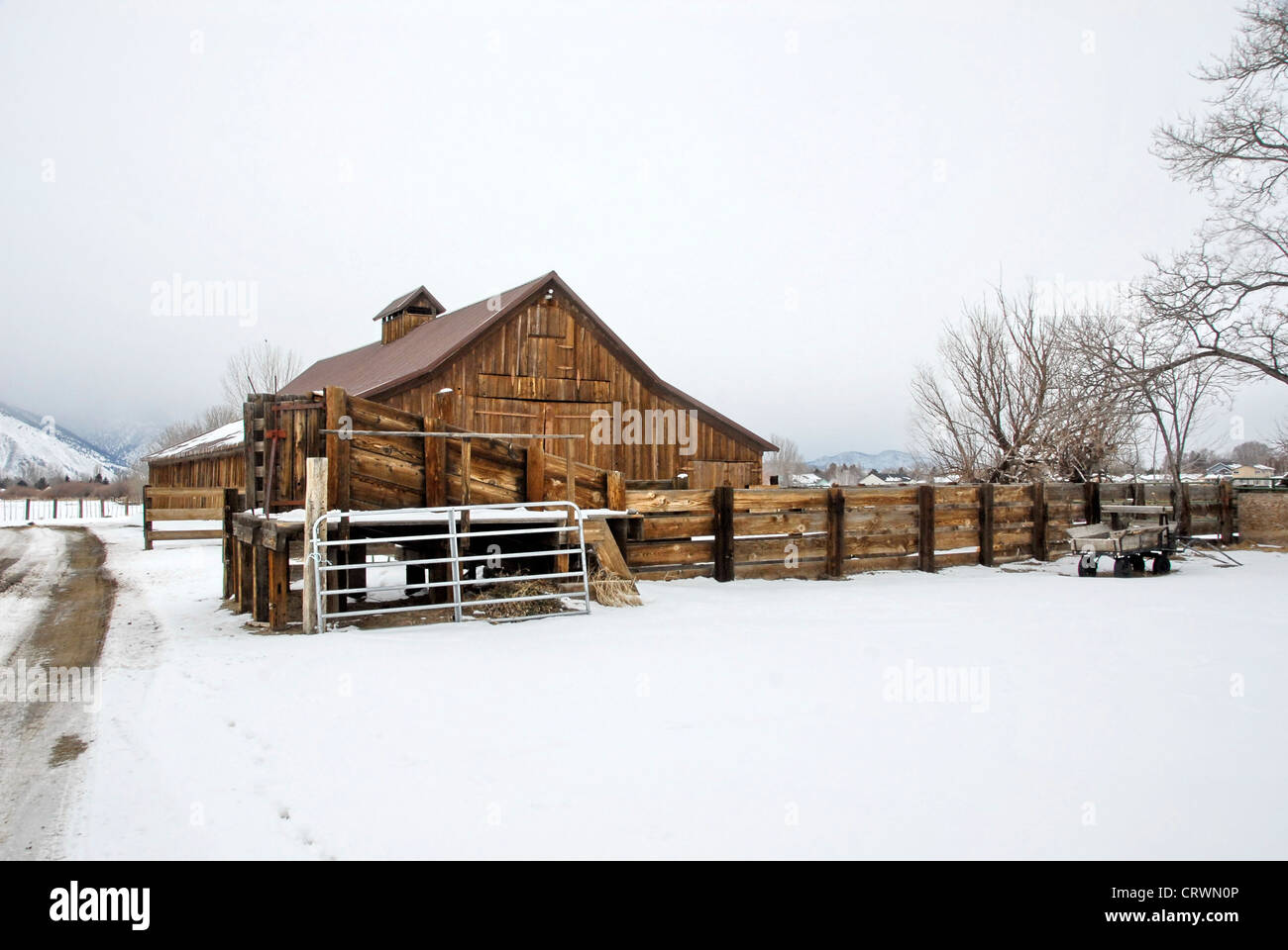 Scheune auf einer Ranch im winterlichen Carson Valley, Nevada, USA Stockfoto