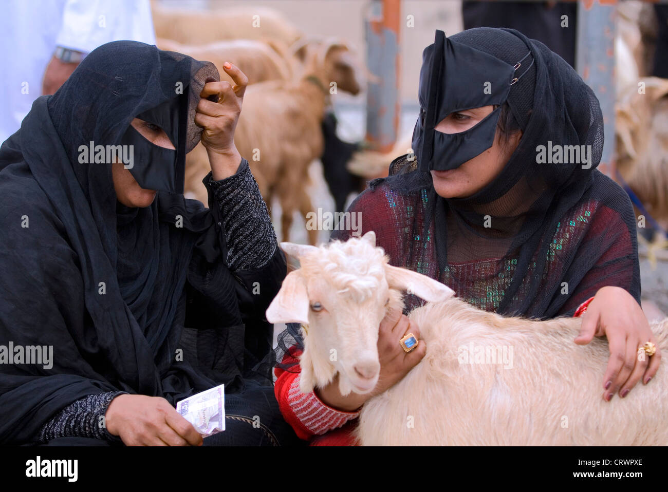 Maskierte Beduinenfrauen an Vieh Souk, Nizwa, Ad Dakhiliyah, Oman Stockfoto