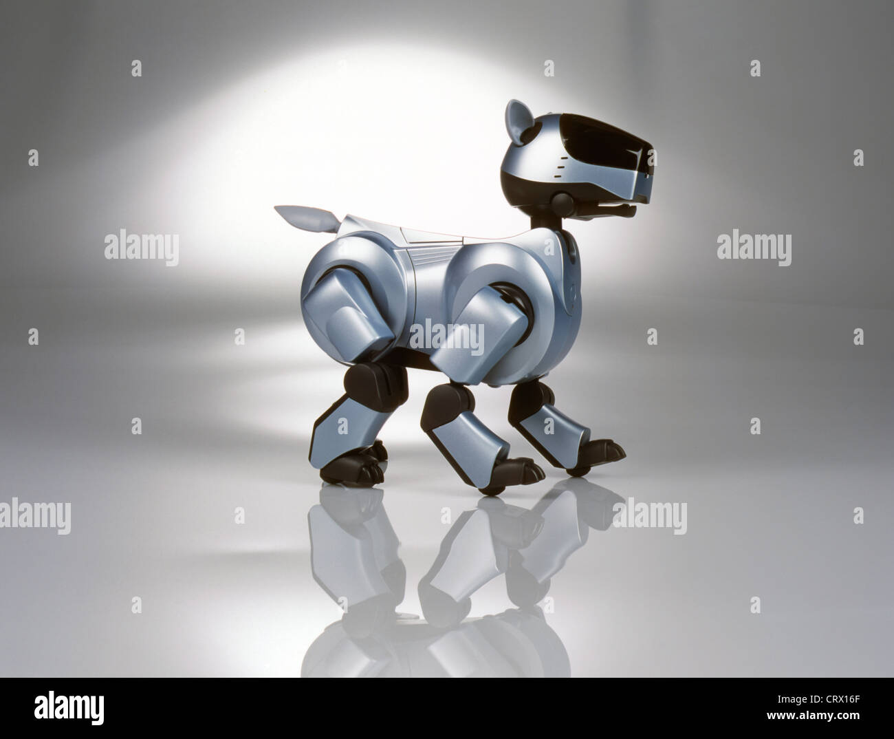 Sony-Roboter-Haustier Stockfoto