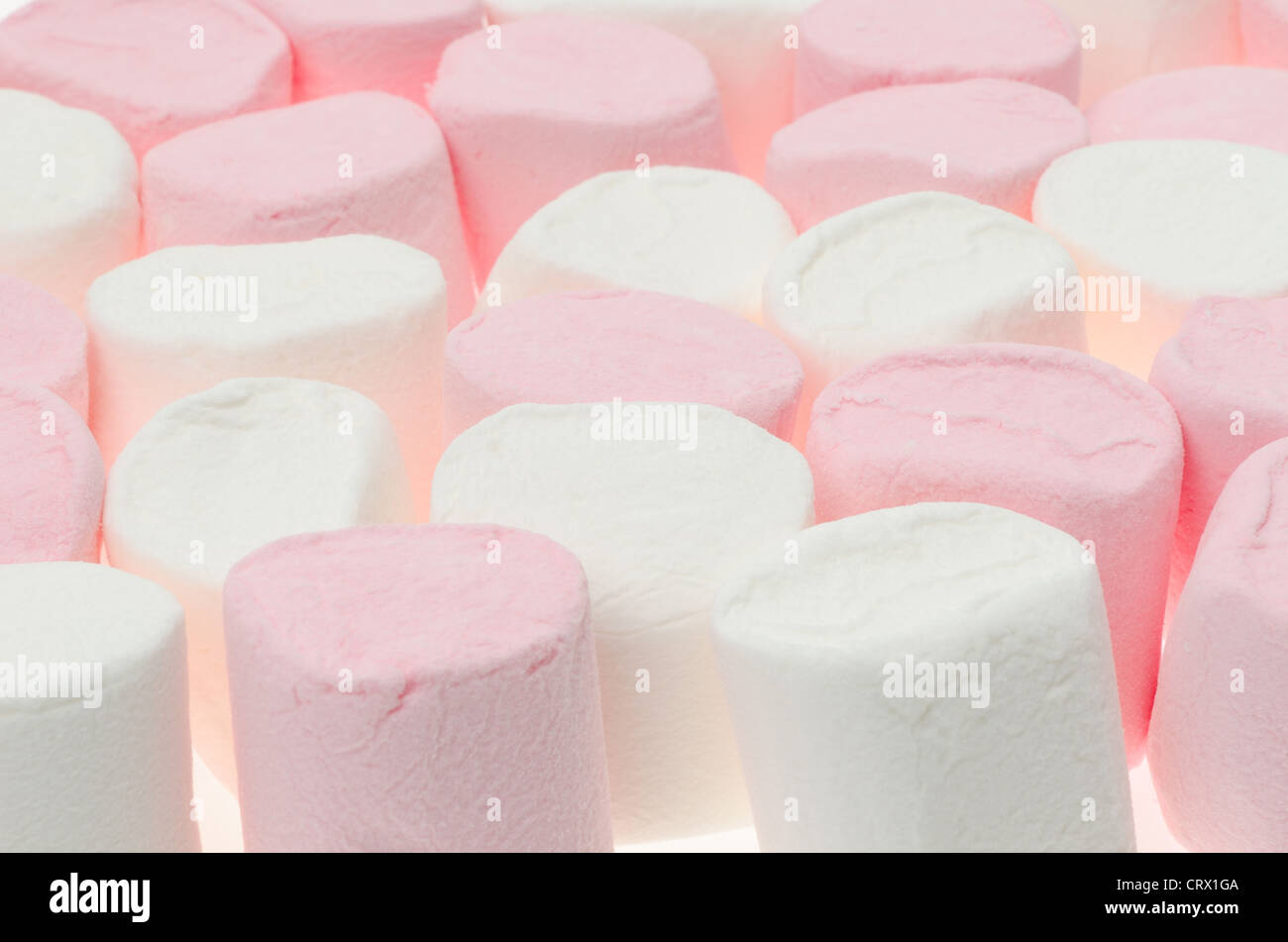 Nahaufnahme von rosa und weiße Marshmallows - Studio gedreht. Stockfoto