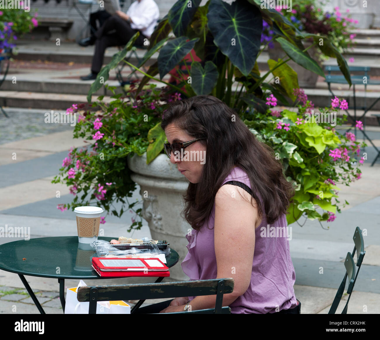 Ein Leser nutzt ihr Kindle e-Book-Reader im Bryant Park in New York auf Dienstag, 26. Juni 2012 (© Richard B. Levine) Stockfoto