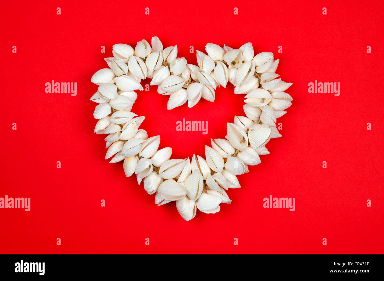 Ein Herz von Muscheln auf einem romantischen roten Hintergrund gemacht Stockfoto