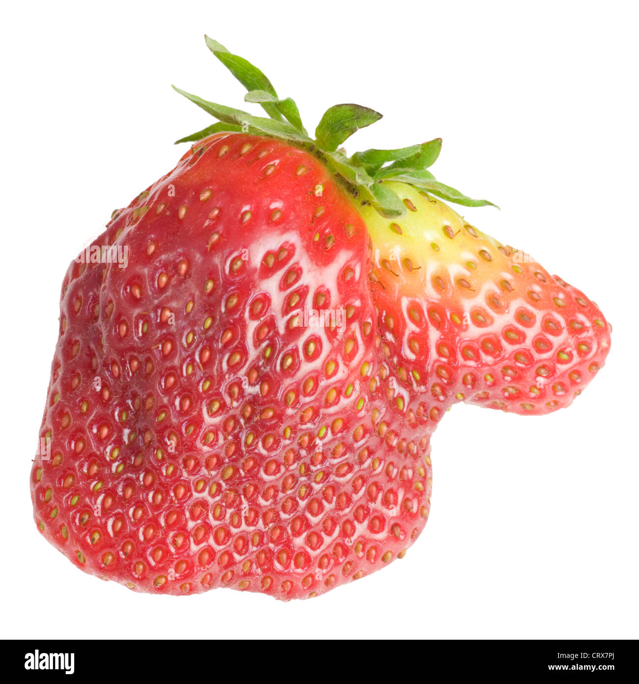 unförmige Erdbeere Stockfoto