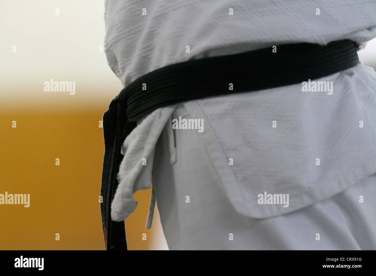 Schwarzgurt Nottingham Shudokan Aikido Sommerschule Stockfoto