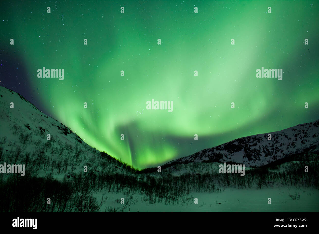 Das Nordlicht Aurora Borealis füllen den Himmel am Kvaloya am Polarkreis in der Nähe von Tromsø, Nordnorwegen Stockfoto