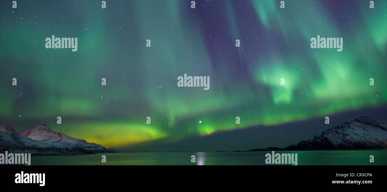 Das Nordlicht Aurora Borealis füllen den Himmel am Kvaloya am Polarkreis in der Nähe von Tromsø, Nordnorwegen Stockfoto