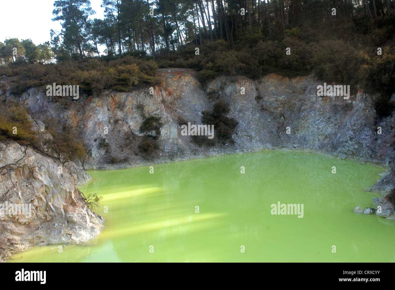 Des Teufels Höhle Pool im Wai-O-Tapu geothermal Gegend in Neuseeland Stockfoto