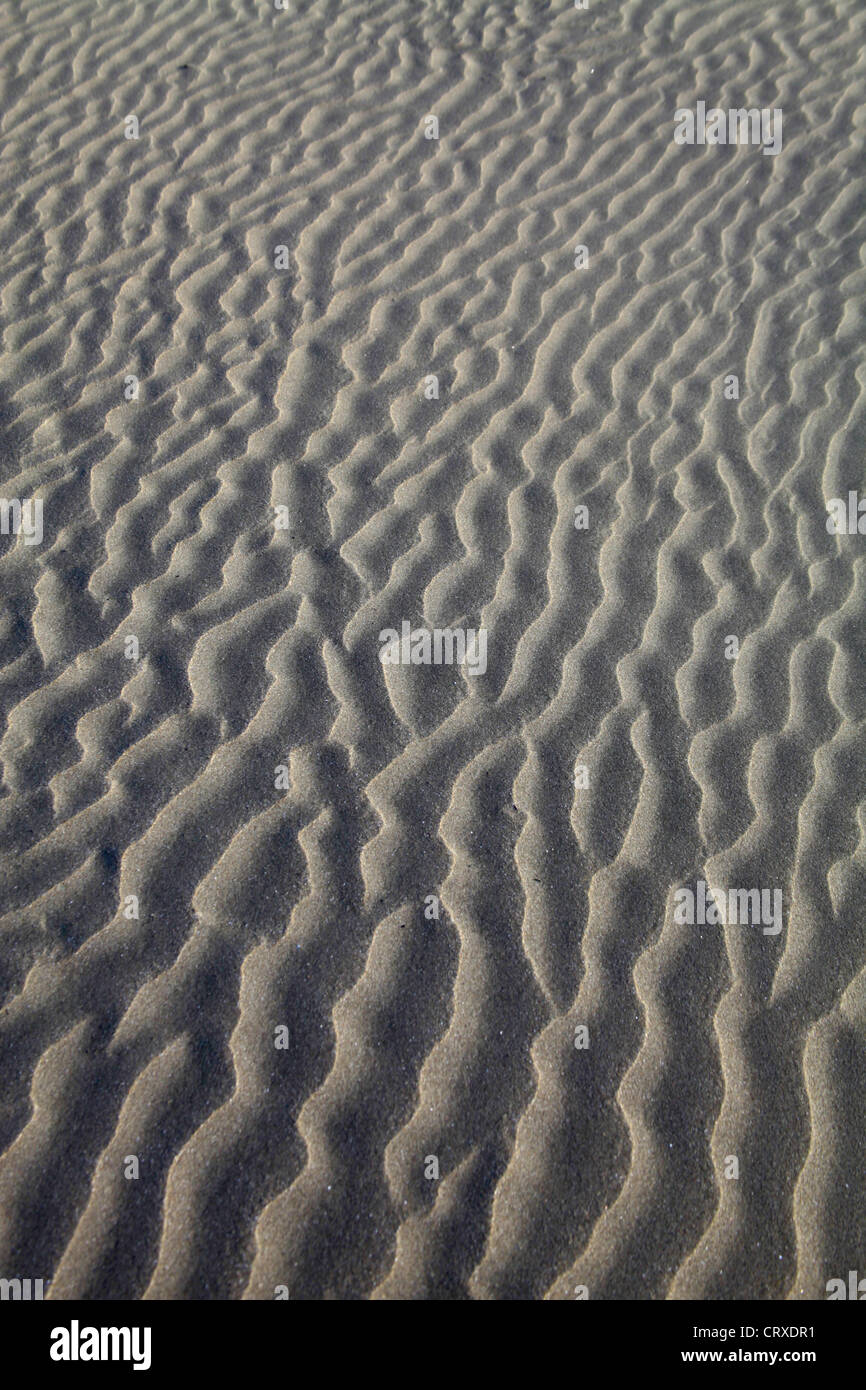 Rippelmarken am Strand erzeugen durch Wind in Kujukuri Strand Chiba Japan Stockfoto