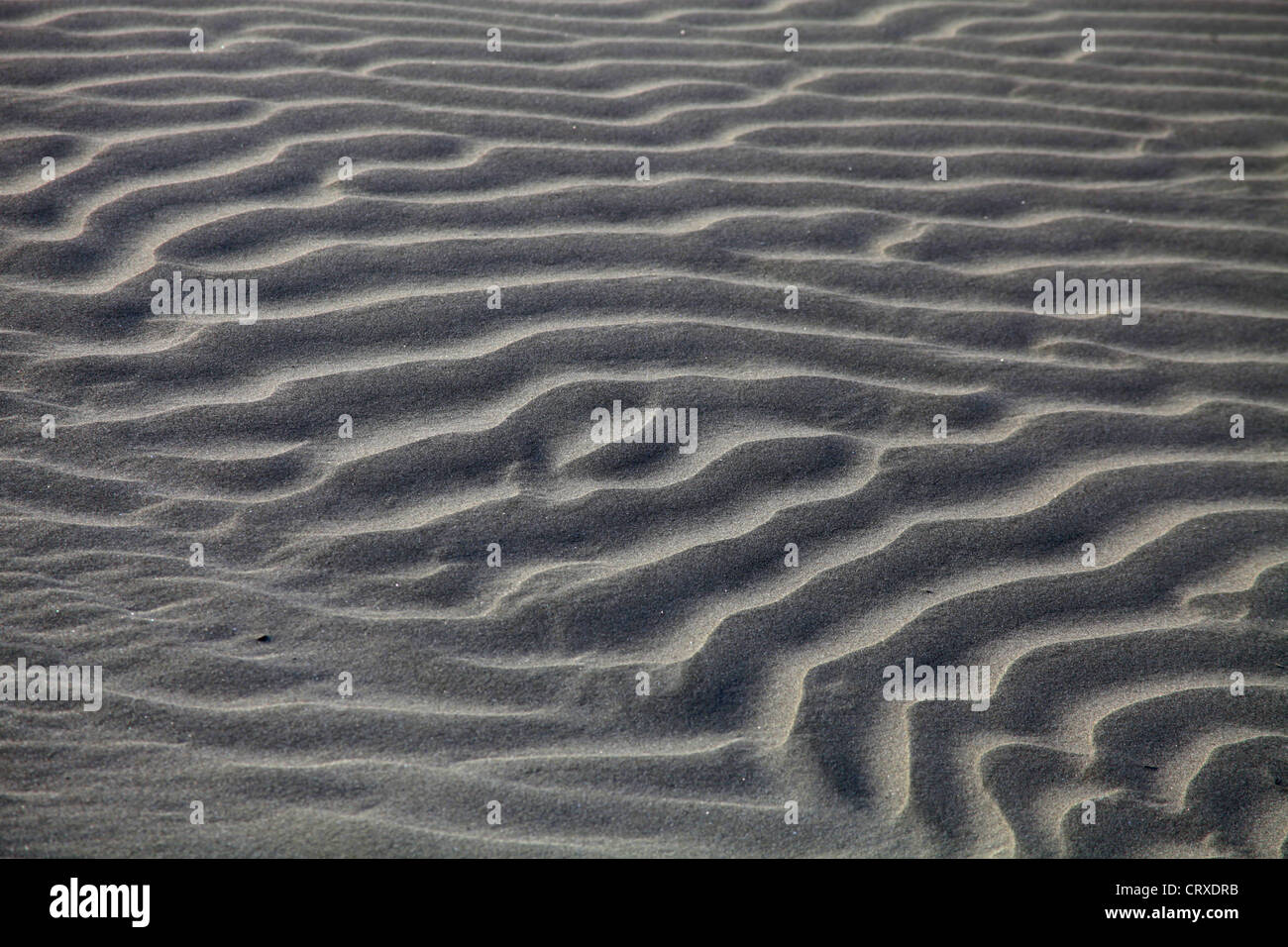 Rippelmarken am Strand erzeugen durch Wind in Kujukuri Strand Chiba Japan Stockfoto
