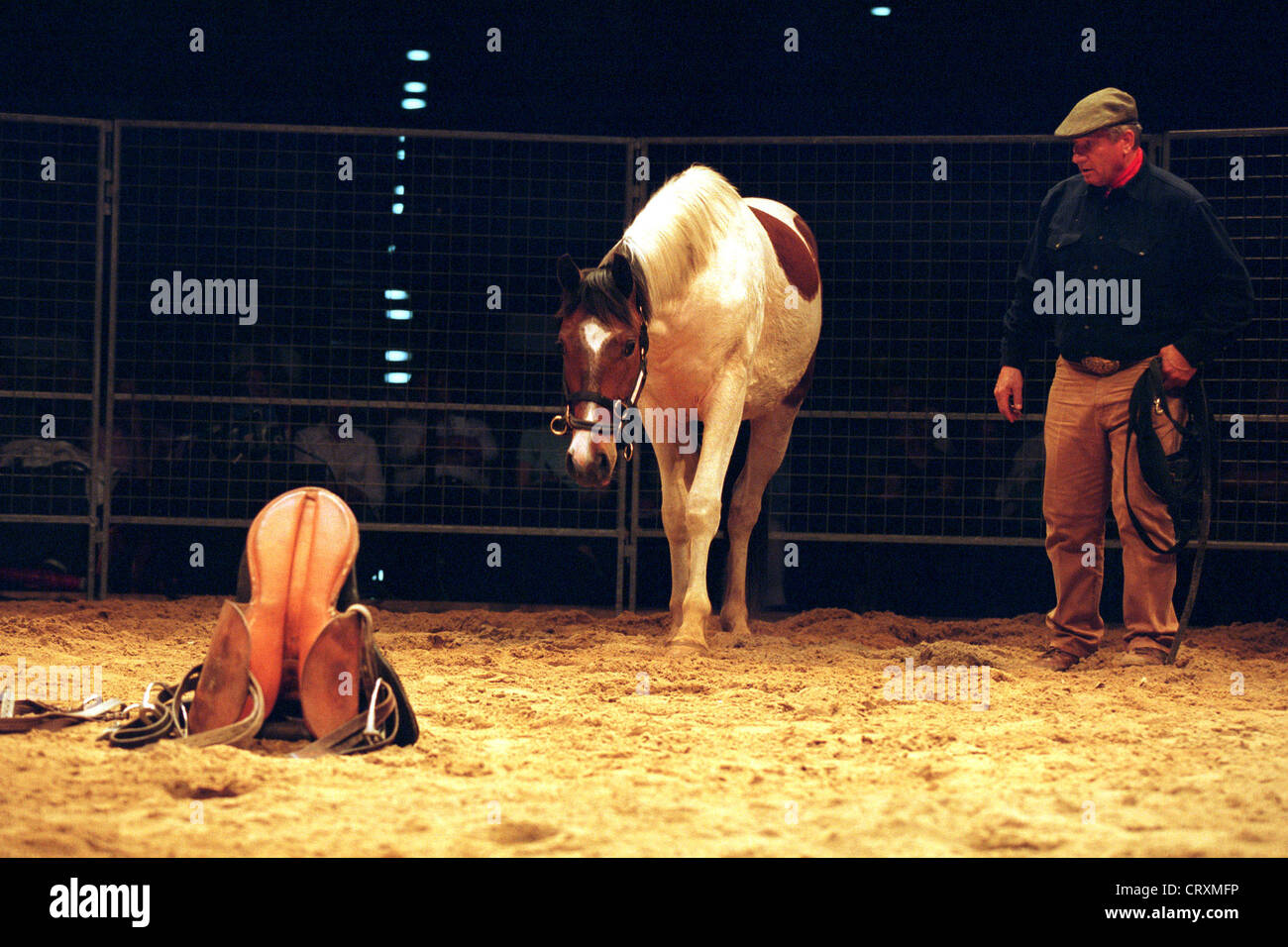 Pferd Whisperer Monty Roberts bei der Arbeit auf dem Pferd Stockfoto