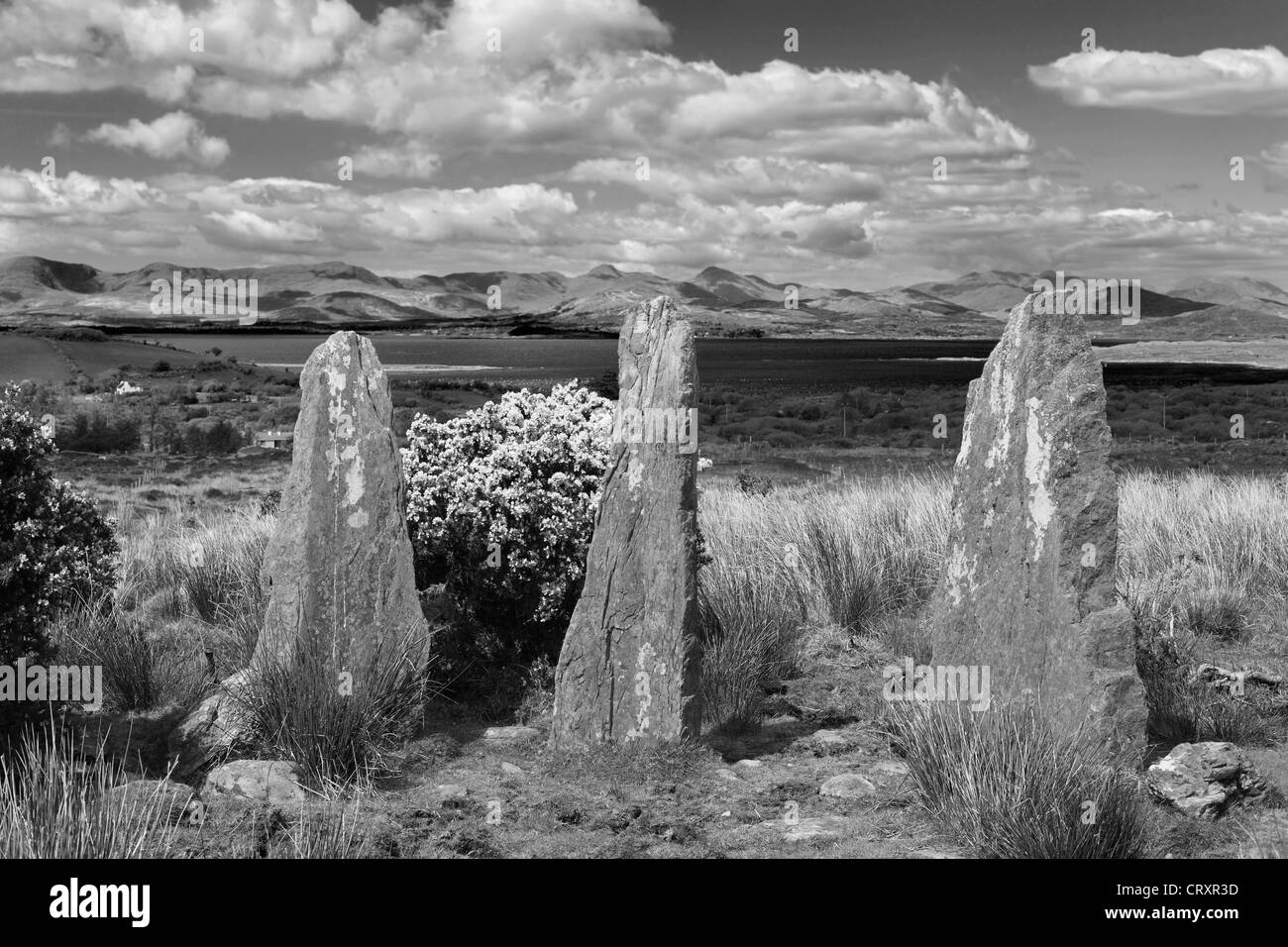 Irland, County Cork, Blick auf Steinkreis am Ardgroom Stockfoto