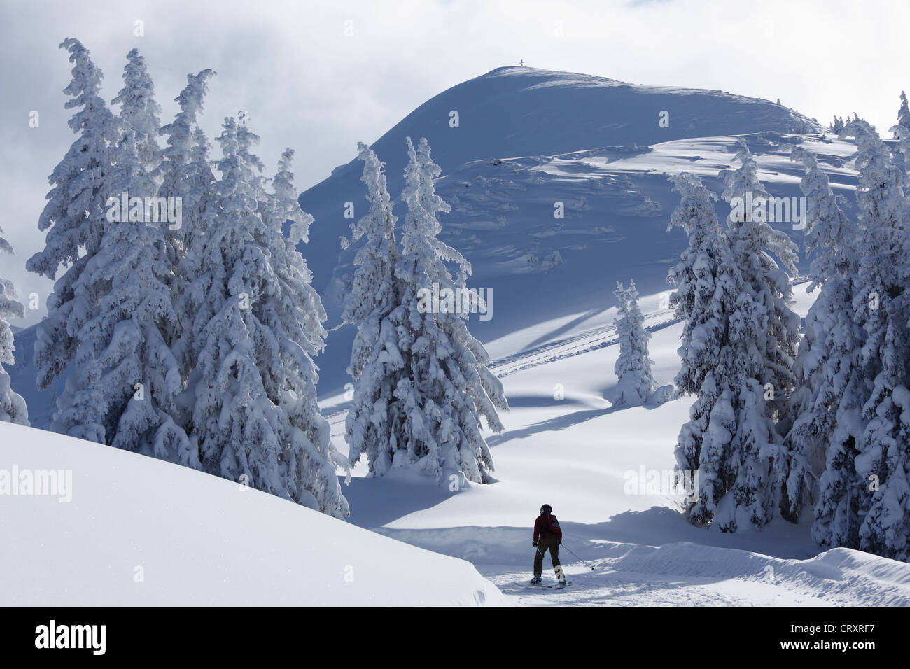 Österreich, Steiermark, Person, Skifahren im Skigebiet Reiteralm Stockfoto