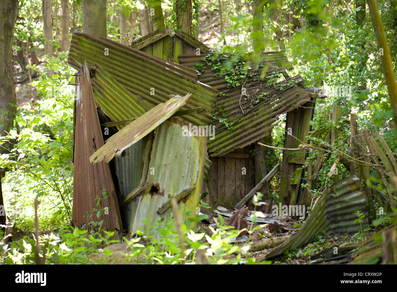 Verfallene Wellblech Hütte im Wald, Touristenort, East Sussex, UK Stockfoto