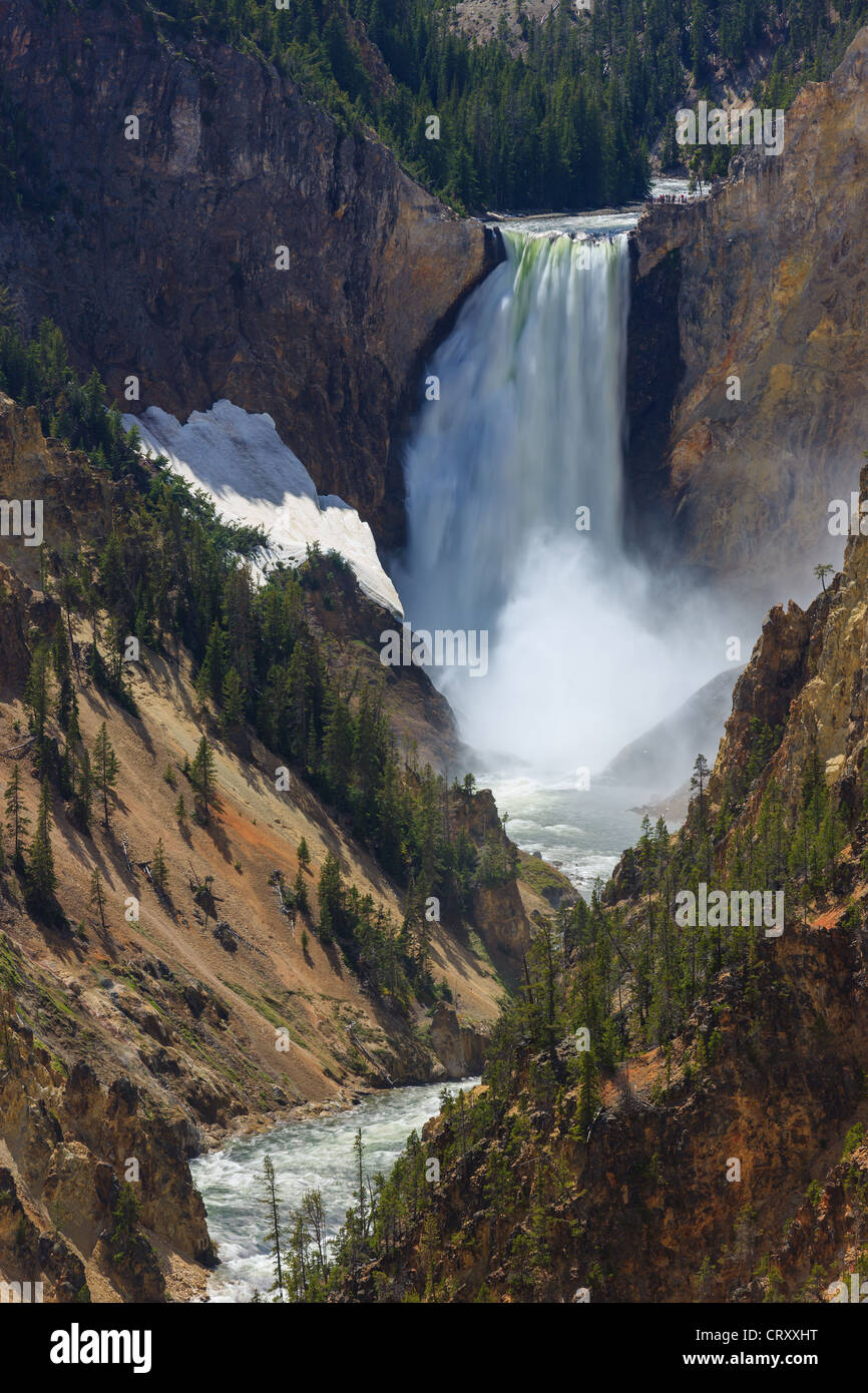 Lower Falls am Yellowstone River im Yellowstone-Nationalpark, Wyoming, USA Stockfoto