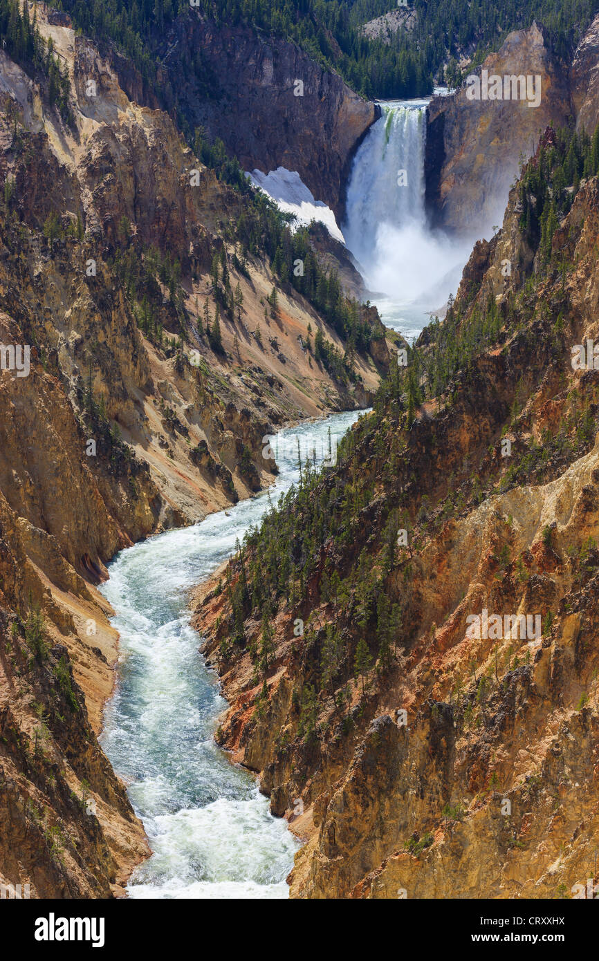Lower Falls am Yellowstone River im Yellowstone-Nationalpark, Wyoming, USA Stockfoto