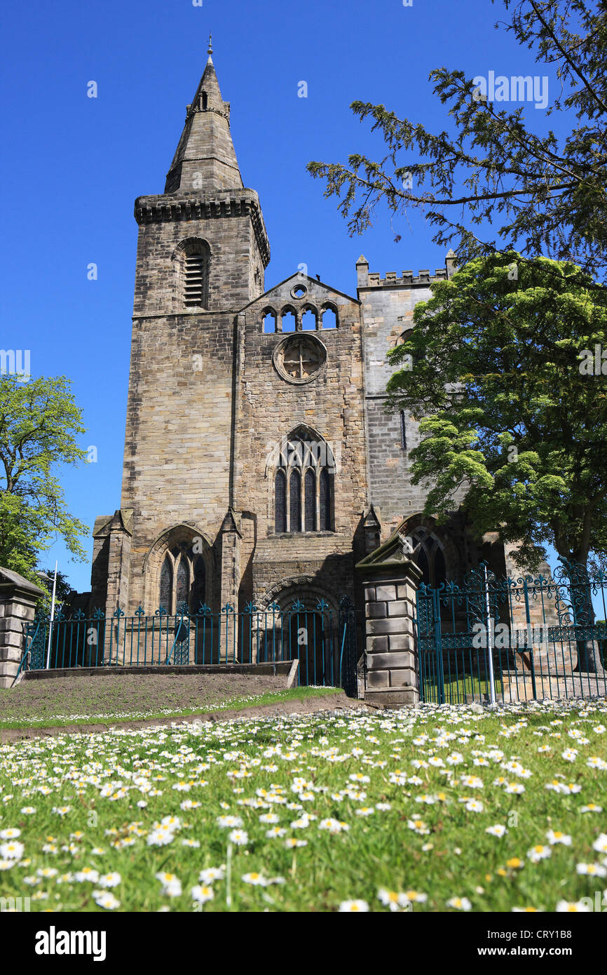 Dunfermline Abbey befindet sich in der Stadt von Dunfermline Fife. Stockfoto