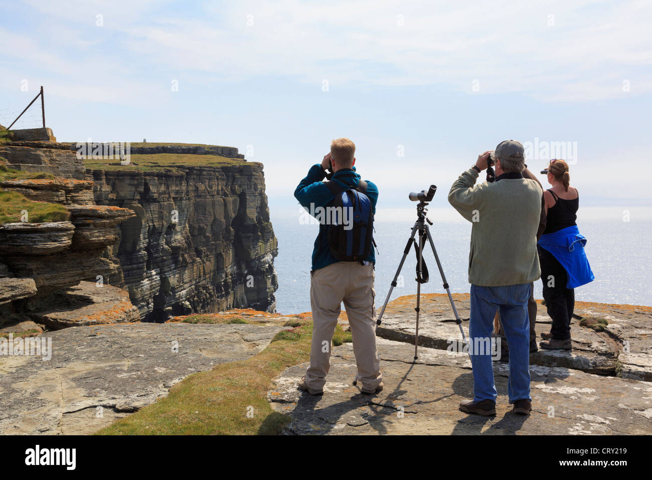 Leute mit Fernglas und Teleskop Papageientaucher beobachten und eine Kolonie von Seevögeln nisten auf Klippen am Noup Head Westray Orkney Inseln Schottland Großbritannien Stockfoto